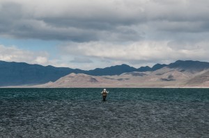 Fly Fisher, Pyramid Lake, NY